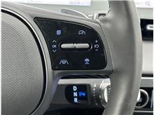 Vehicle Thumb #21