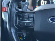 Vehicle Thumb #22