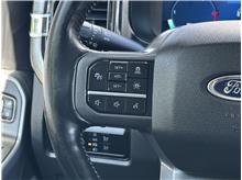 Vehicle Thumb #22