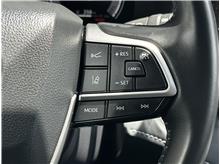 Vehicle Thumb #24