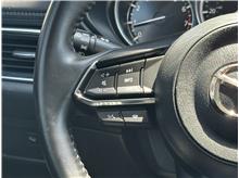 Vehicle Thumb #22