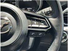 Vehicle Thumb #23