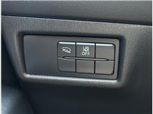 Vehicle Thumb #28