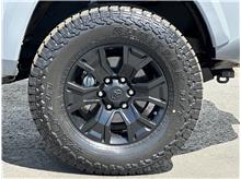 Vehicle Thumb #29