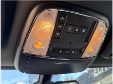 Vehicle Thumb #11