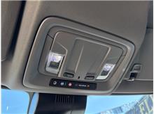 Vehicle Thumb #14