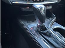 Vehicle Thumb #11