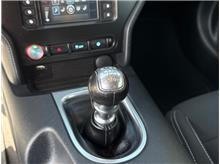 Vehicle Thumb #13