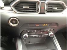 Vehicle Thumb #9