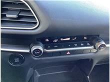 Vehicle Thumb #9