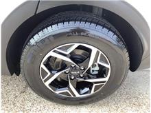 Vehicle Thumb #5