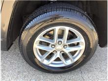 Vehicle Thumb #5