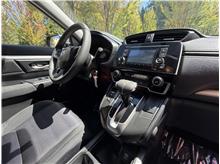Vehicle Thumb #14