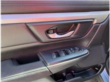 Vehicle Thumb #18