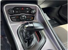 Vehicle Thumb #13