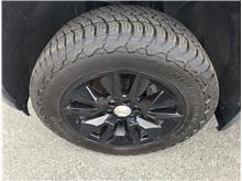 Vehicle Thumb #11