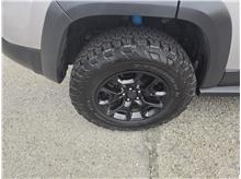 Vehicle Thumb #9