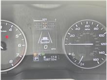 Vehicle Thumb #19