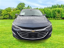 Vehicle Thumb #3