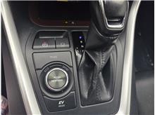 Vehicle Thumb #23