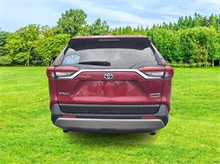 Vehicle Thumb #7