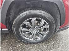Vehicle Thumb #8