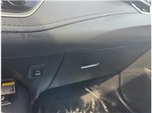 Vehicle Thumb #24