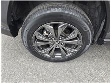 Vehicle Thumb #8