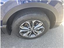 Vehicle Thumb #10