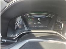 Vehicle Thumb #17