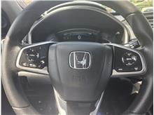 Vehicle Thumb #18