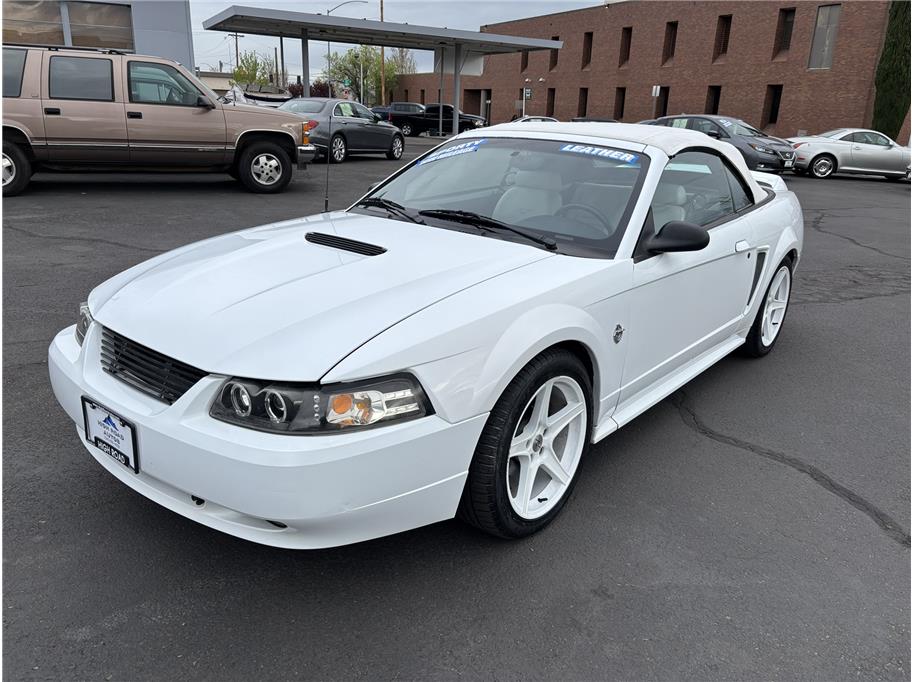 1999 Ford Mustang GT V8's photo