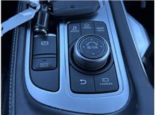 Vehicle Thumb #18