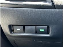 Vehicle Thumb #18