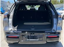 Vehicle Thumb #5