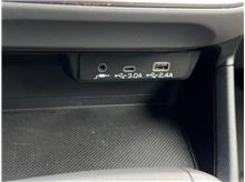 Vehicle Thumb #16