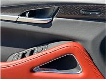 Vehicle Thumb #20