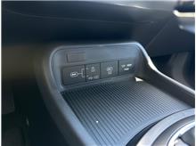 Vehicle Thumb #19