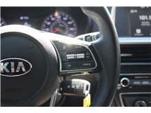 Vehicle Thumb #26