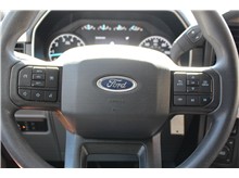 Vehicle Thumb #25