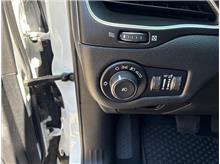 Vehicle Thumb #33