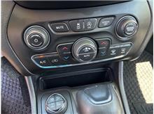 Vehicle Thumb #37