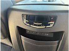 Vehicle Thumb #25