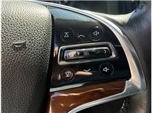Vehicle Thumb #36