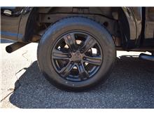 Vehicle Thumb #30