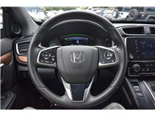 Vehicle Thumb #16