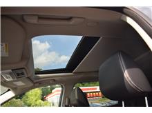 Vehicle Thumb #19