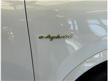 Vehicle Thumb #30