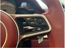 Vehicle Thumb #19