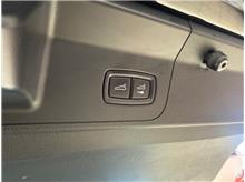 Vehicle Thumb #43
